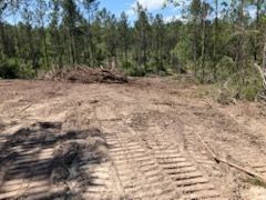 There is a lot of dirt in the middle of the forest.