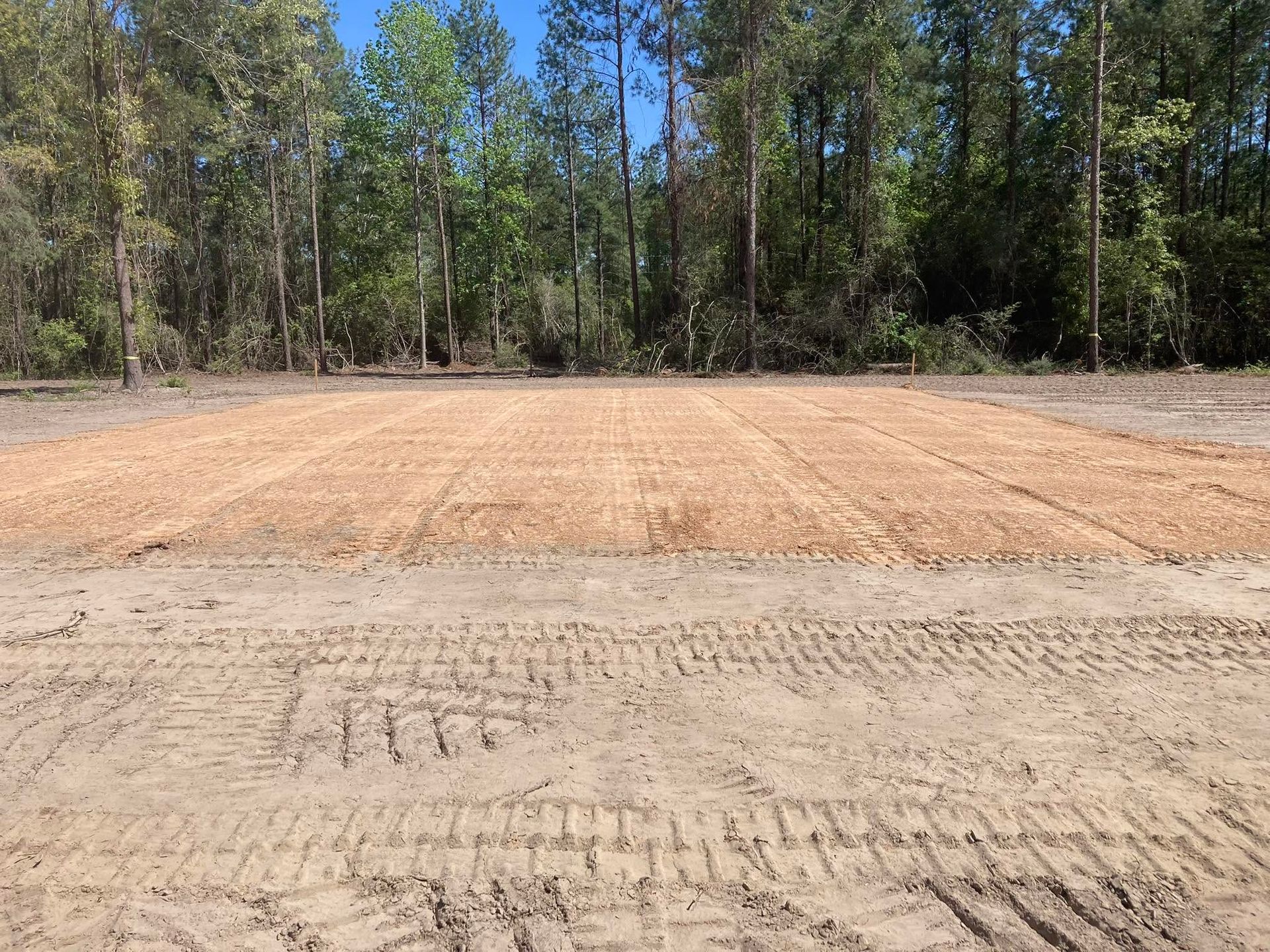 A dirt field in the middle of a forest with trees in the background.