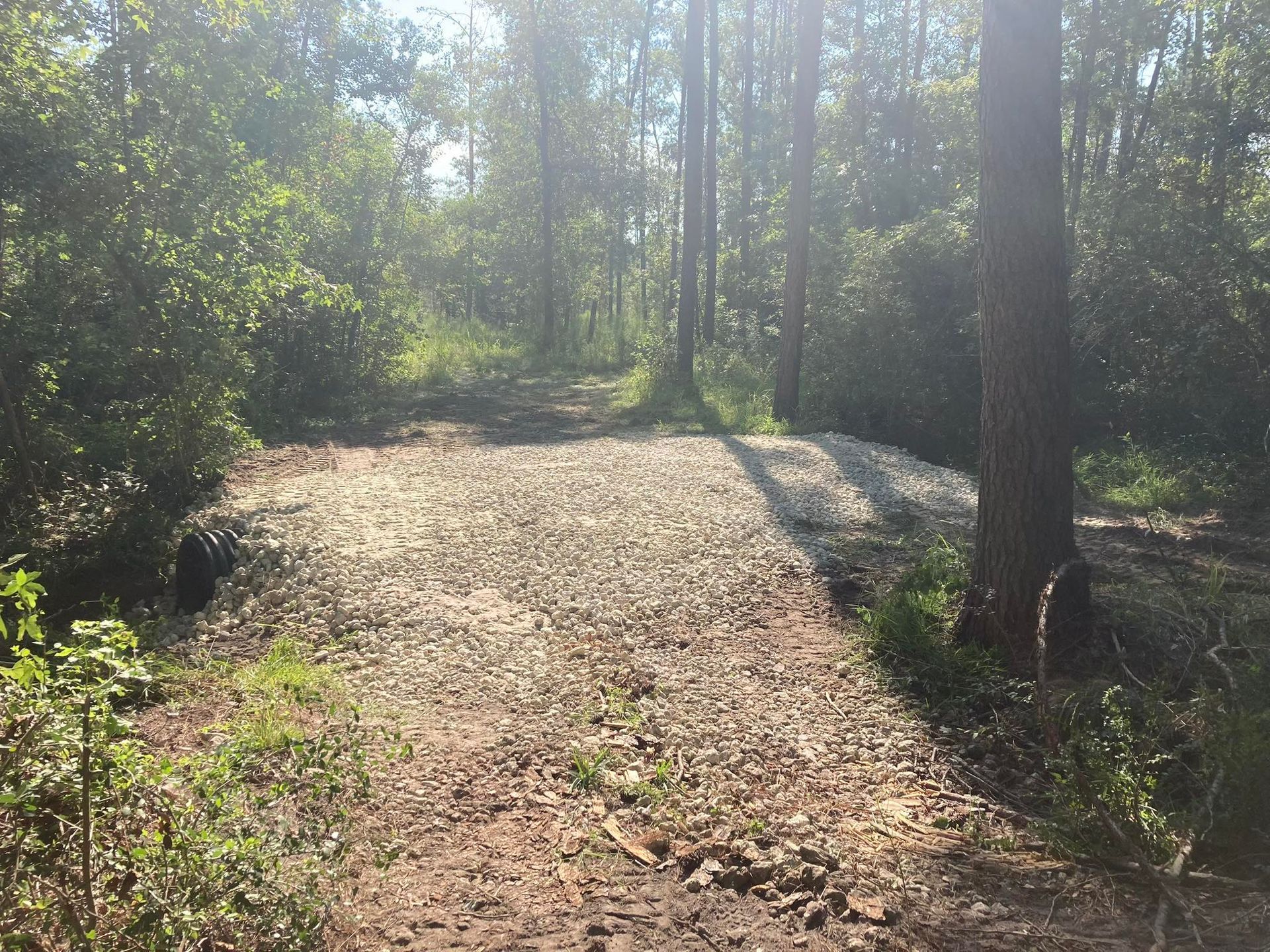 A dirt road in the middle of a forest surrounded by trees.