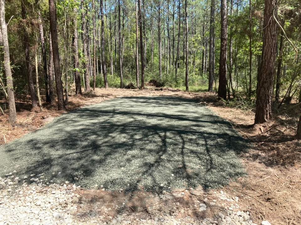A dirt road in the middle of a forest surrounded by trees.