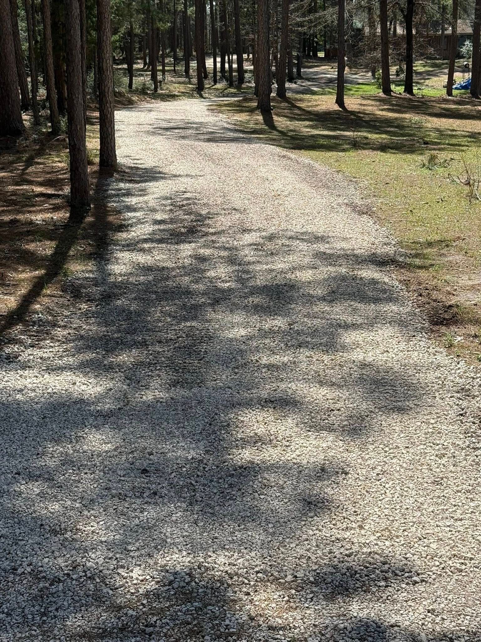 A gravel road in the middle of a forest.
