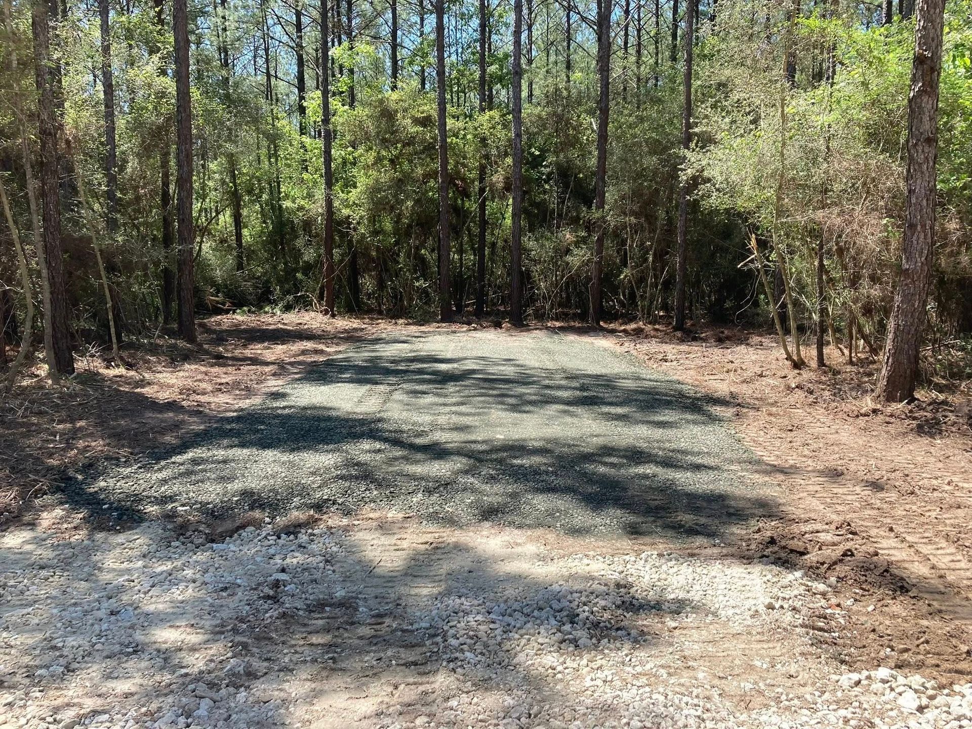 A gravel road in the middle of a forest surrounded by trees.