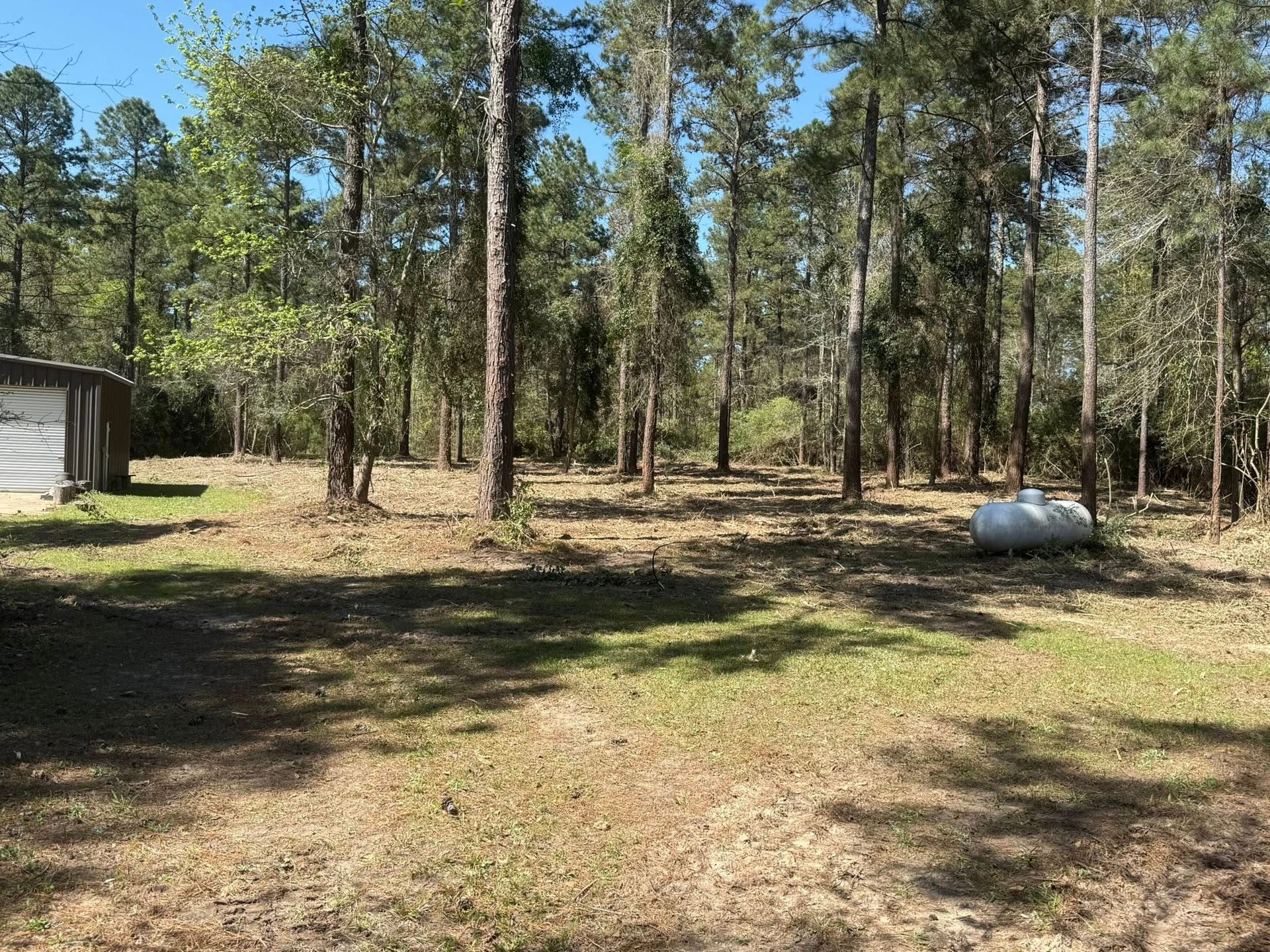 There is a gas tank in the middle of the woods.