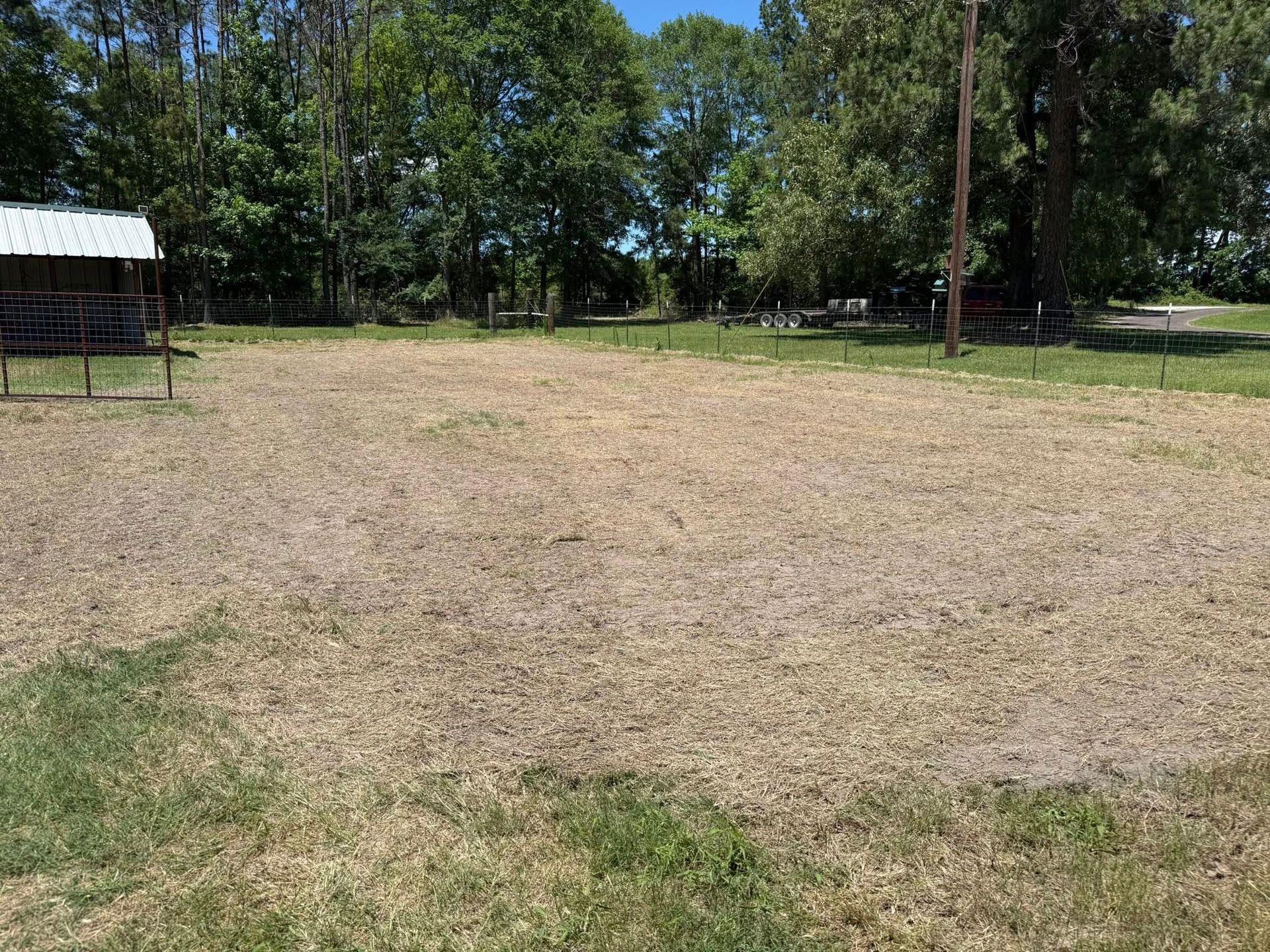 A large dry grass field with trees in the background.