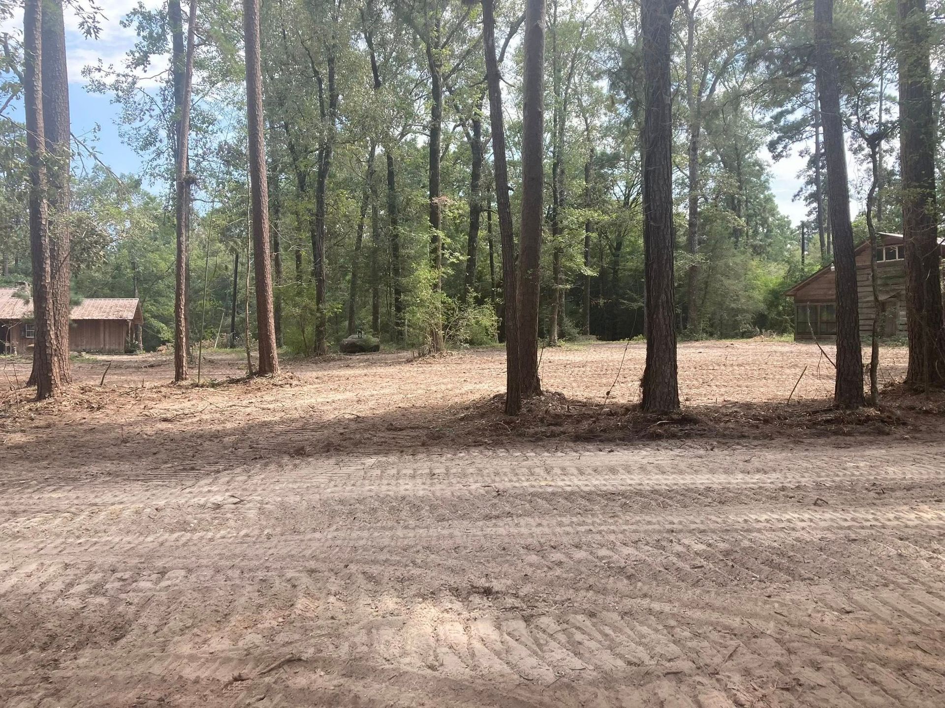 A dirt road in the middle of a forest with trees in the background.