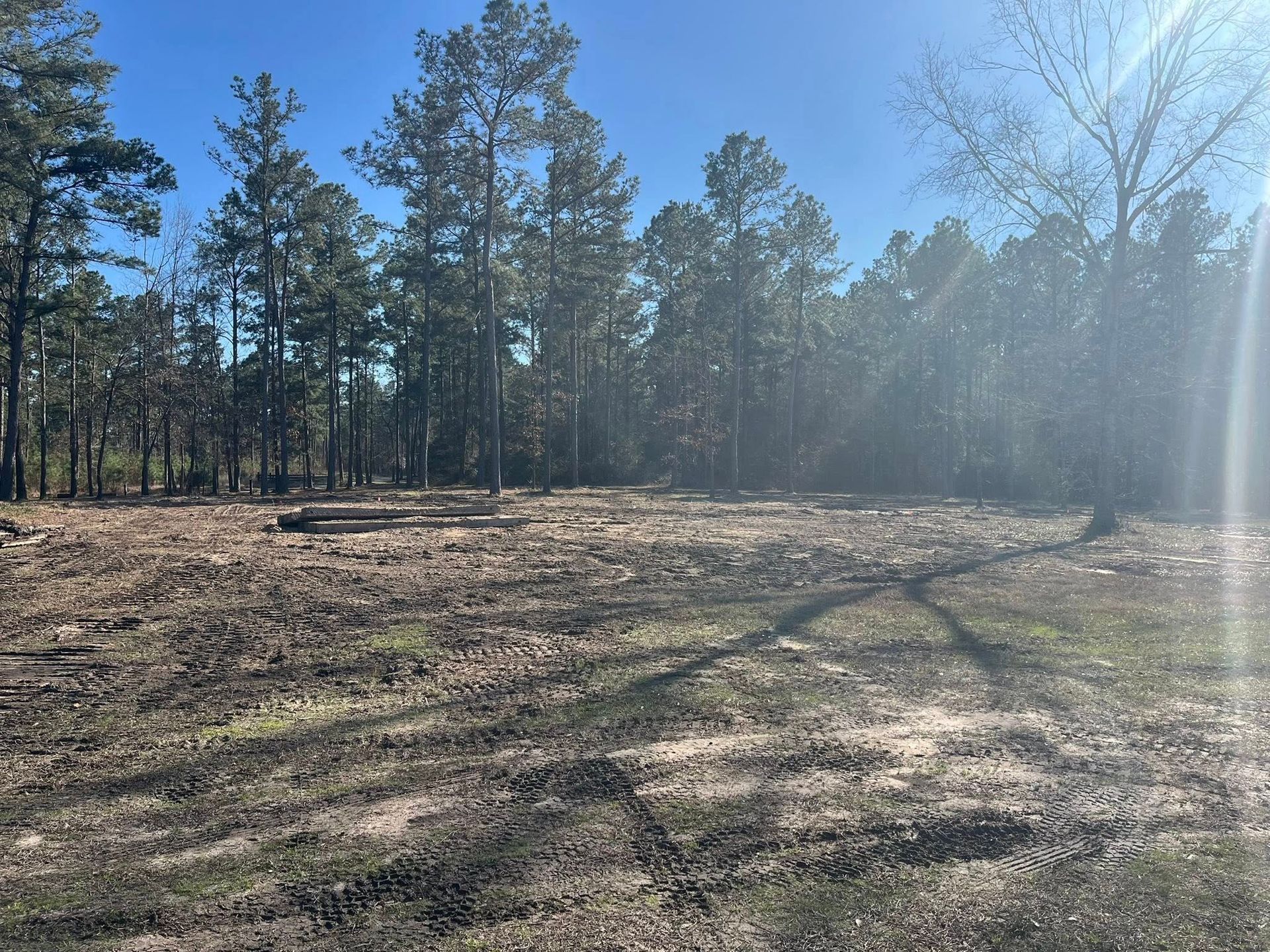 A dirt field with trees in the background and the sun shining through the trees.