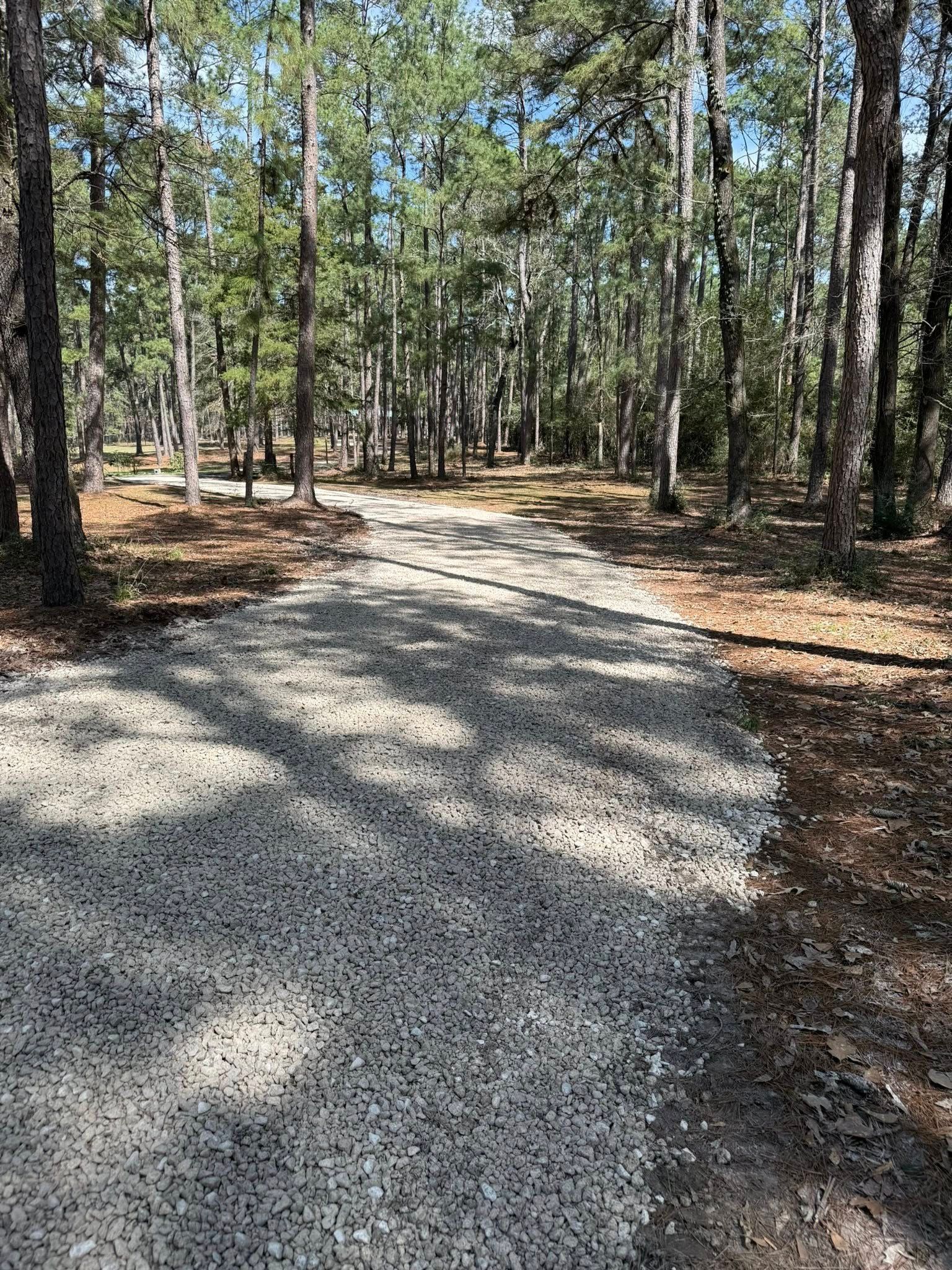 A gravel road in the middle of a forest surrounded by trees.