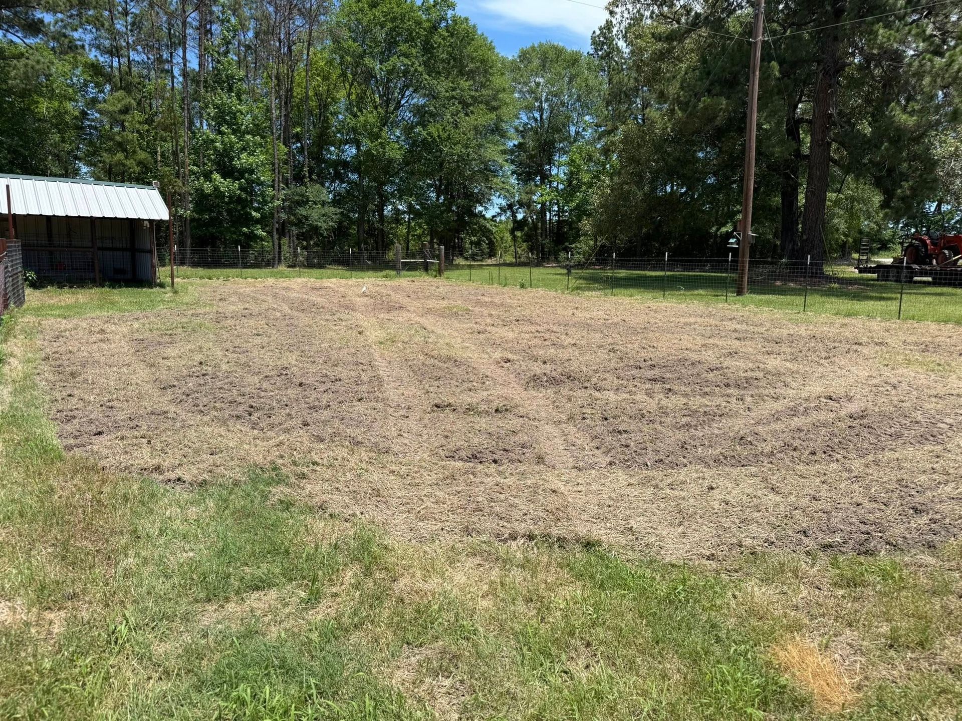 A large grassy field with a shed in the background and trees in the background.