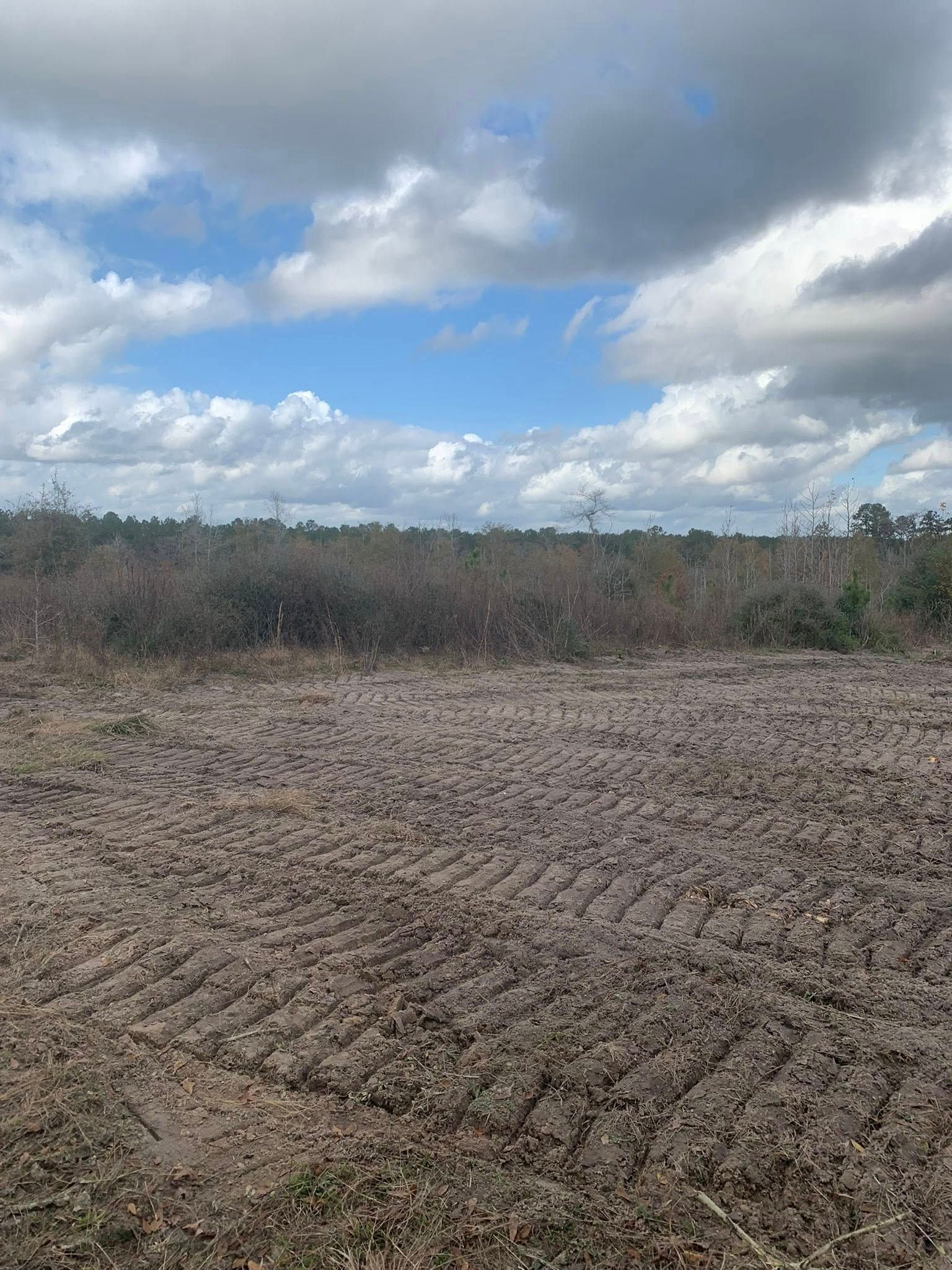 A dry field with a blue sky and clouds in the background.