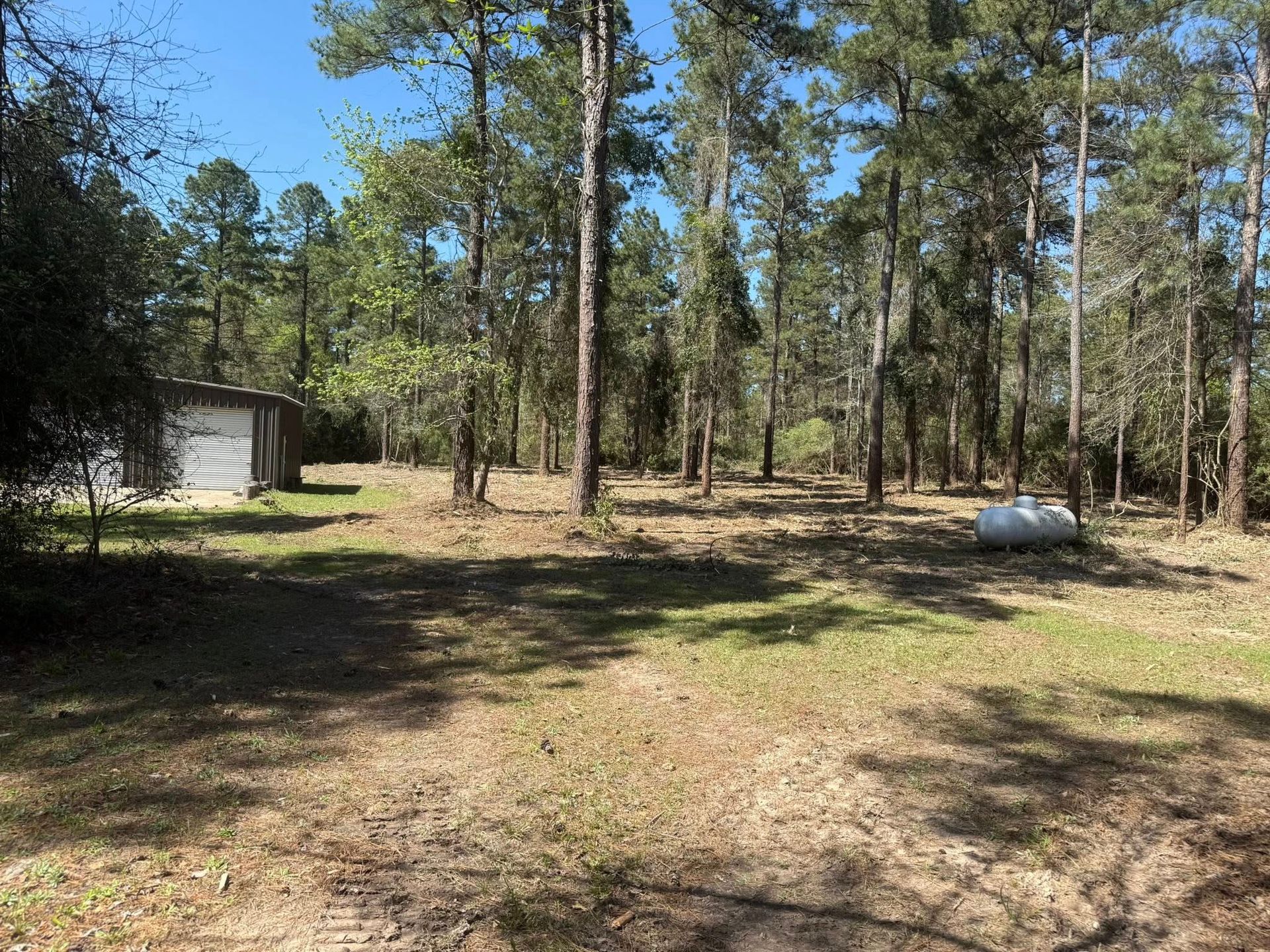There is a garage in the middle of the woods.