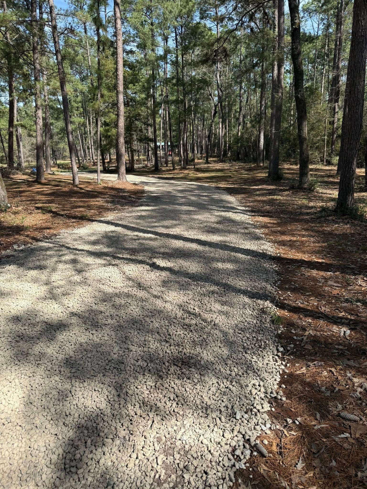 A dirt road in the middle of a forest.