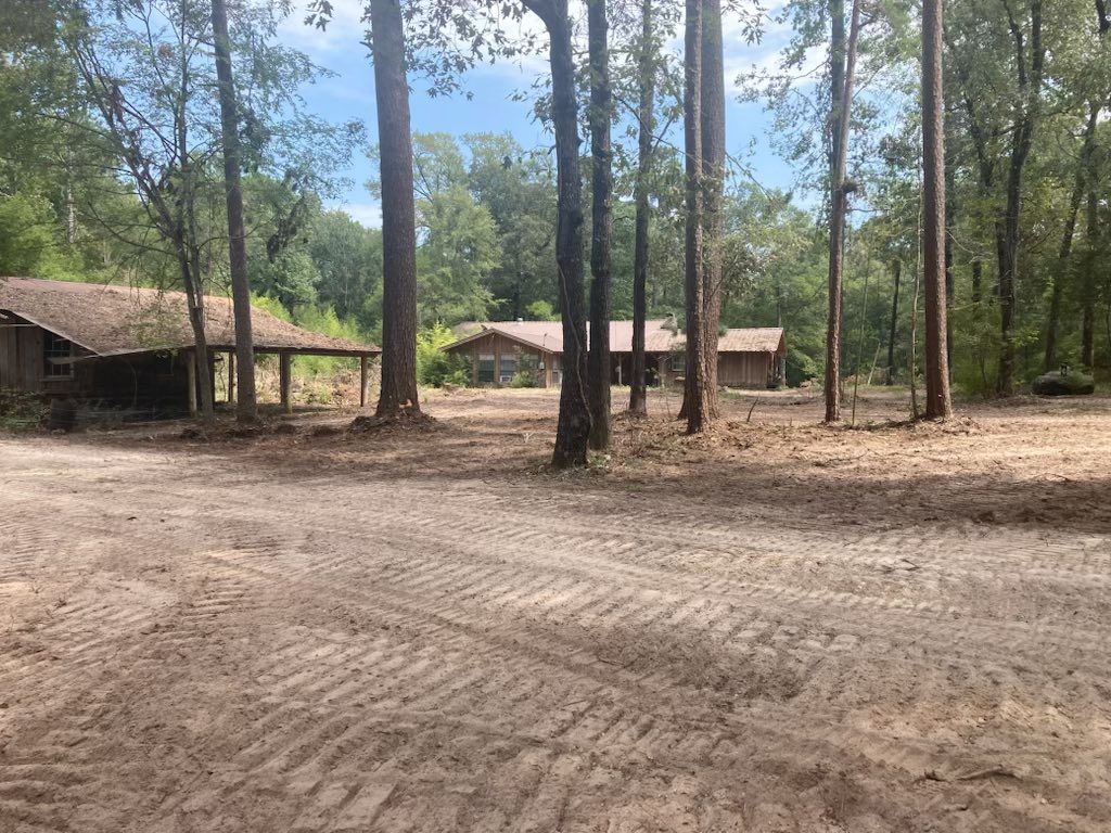 A dirt road leading to a house in the middle of a forest.