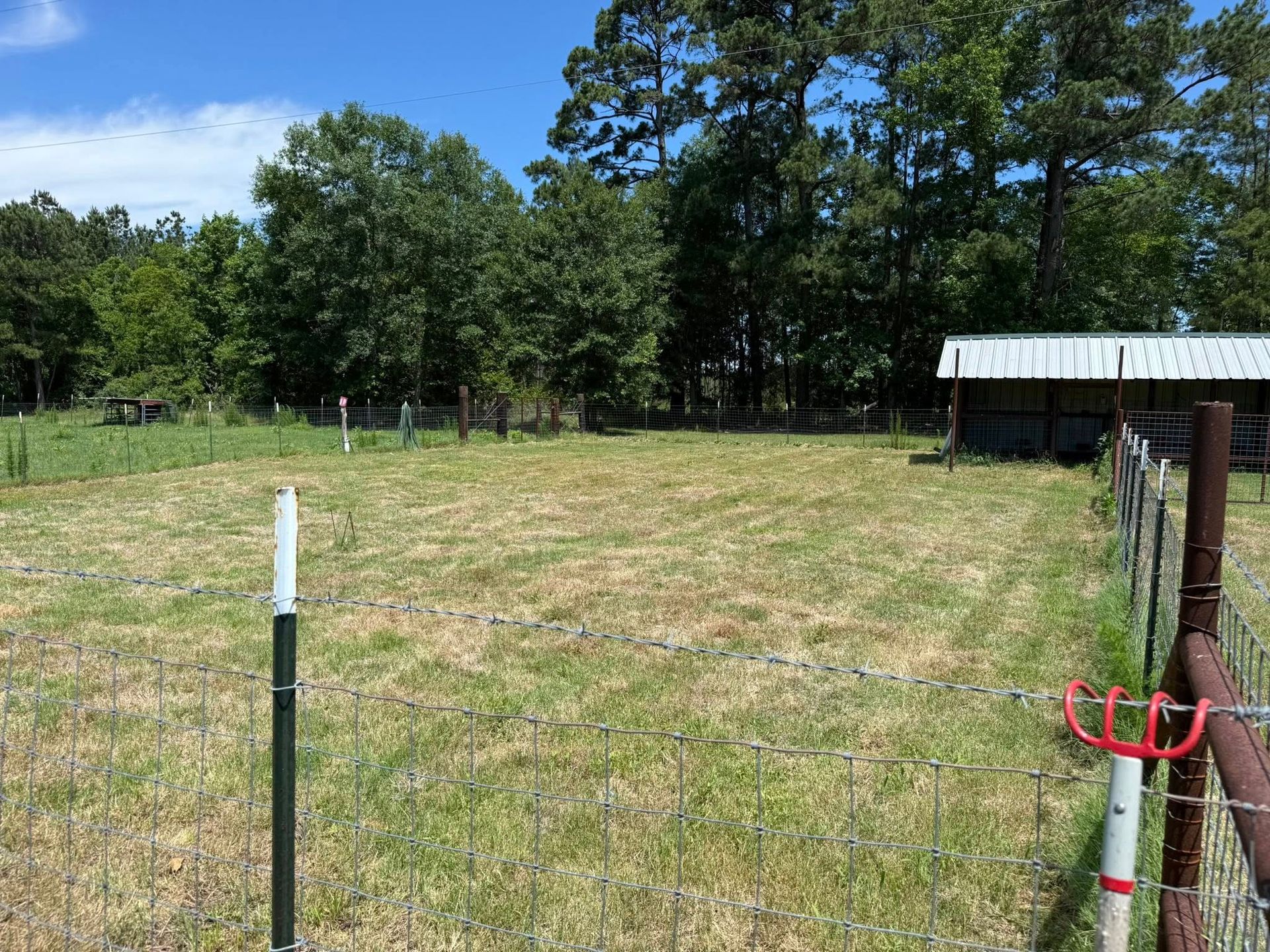 A fence surrounds a grassy field with trees in the background.