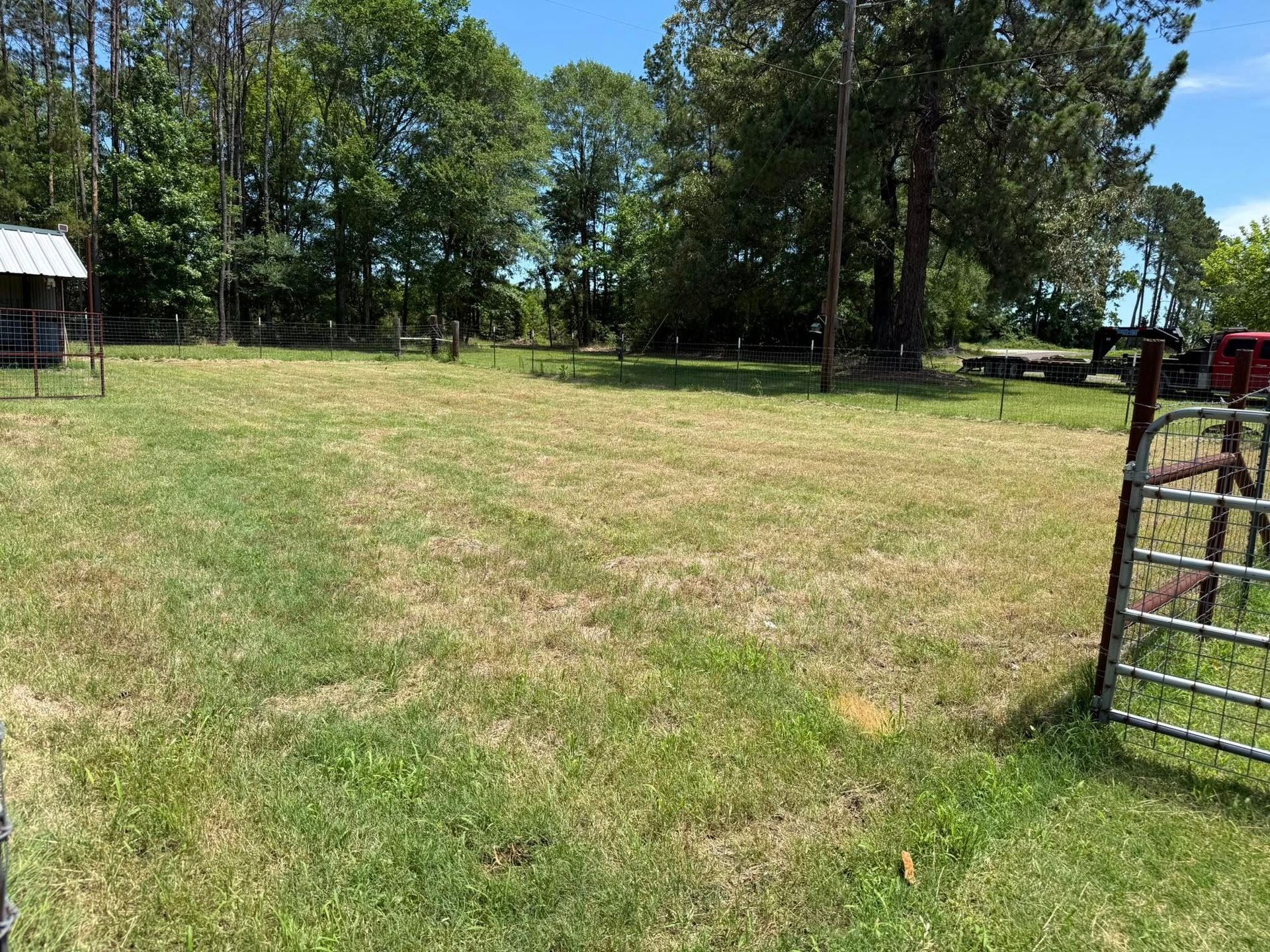 A large grassy field with a fence and trees in the background.