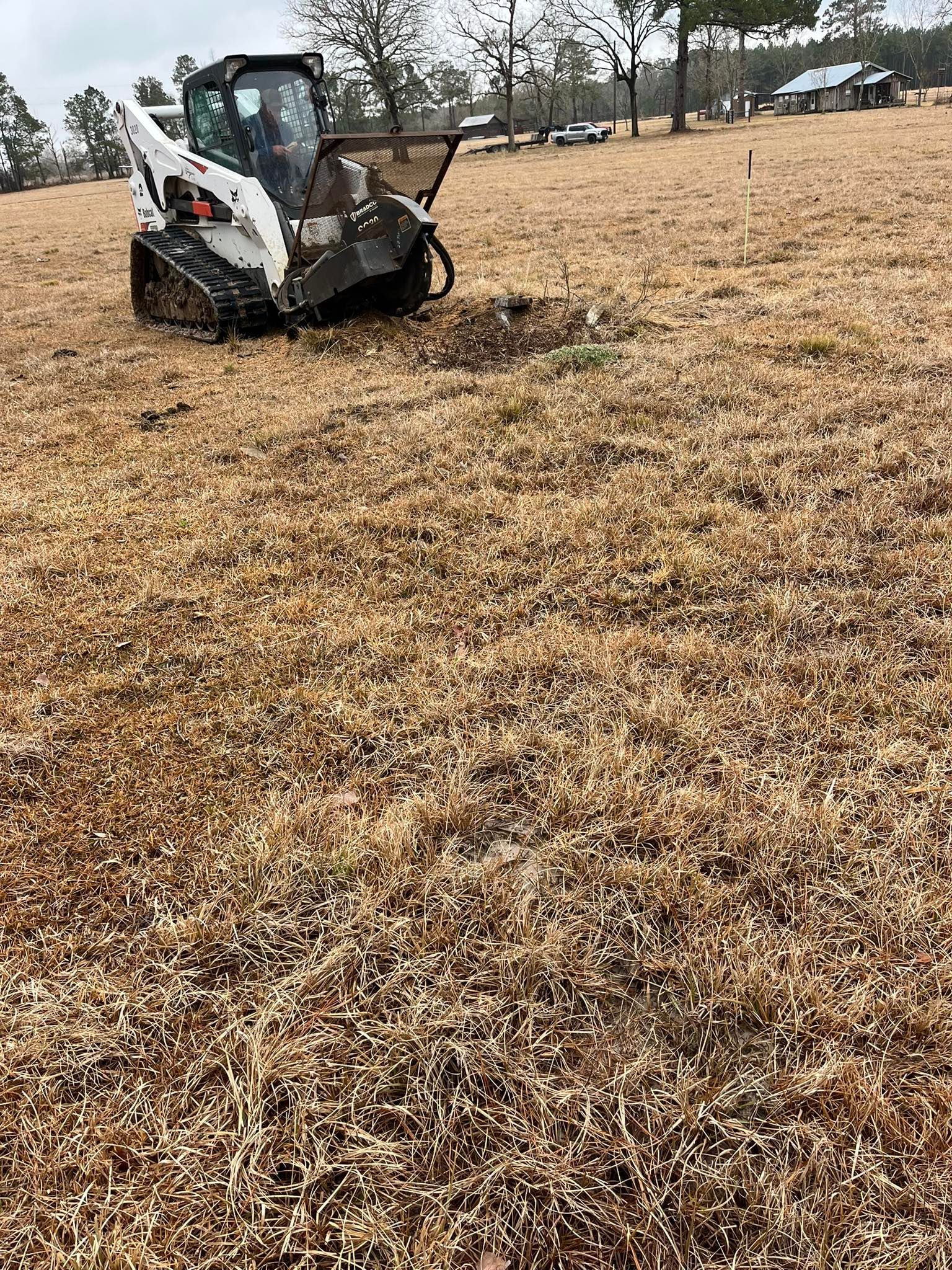 A bobcat is sitting on top of a dry grass field.
