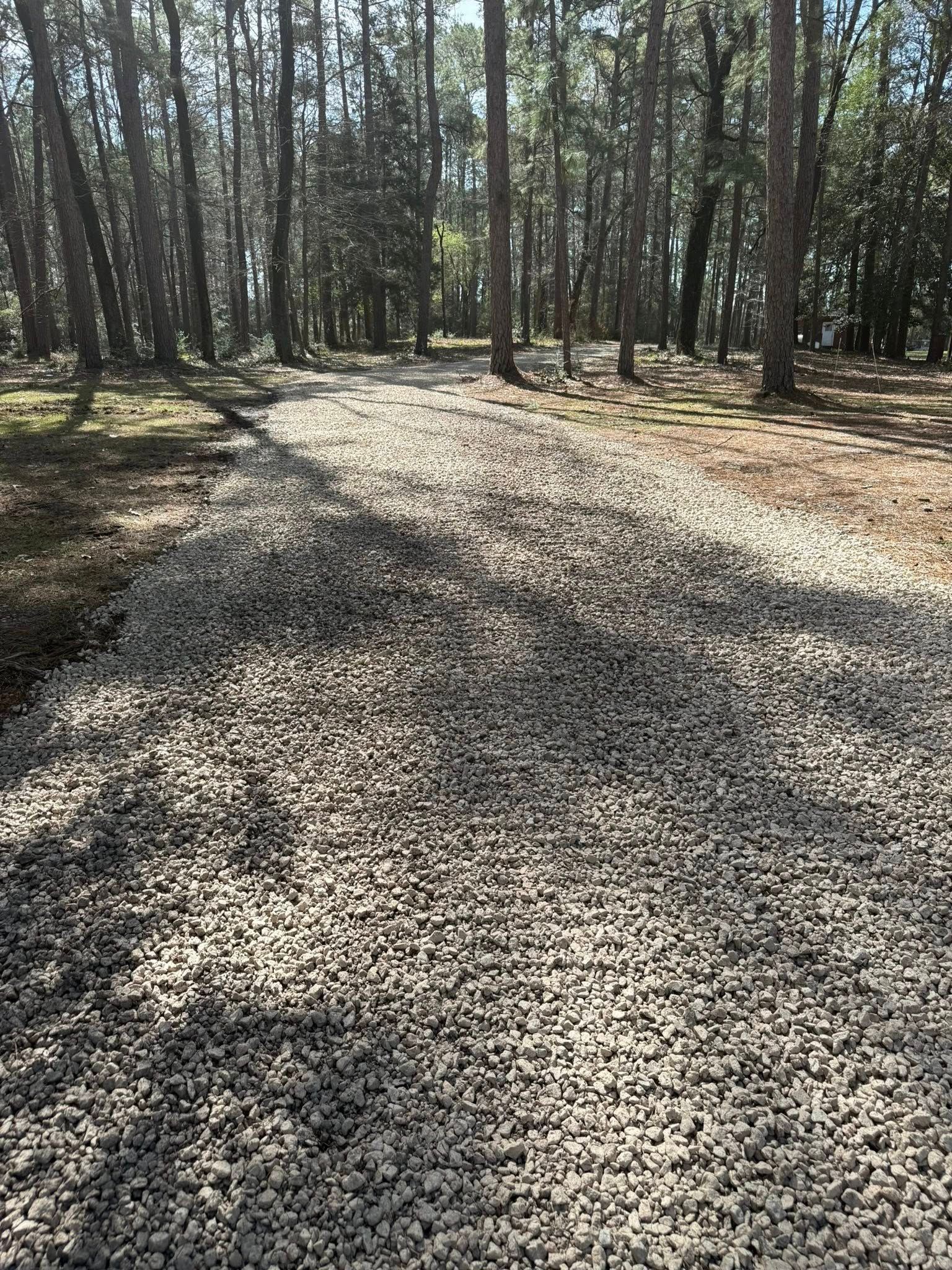 A gravel road in the middle of a forest.