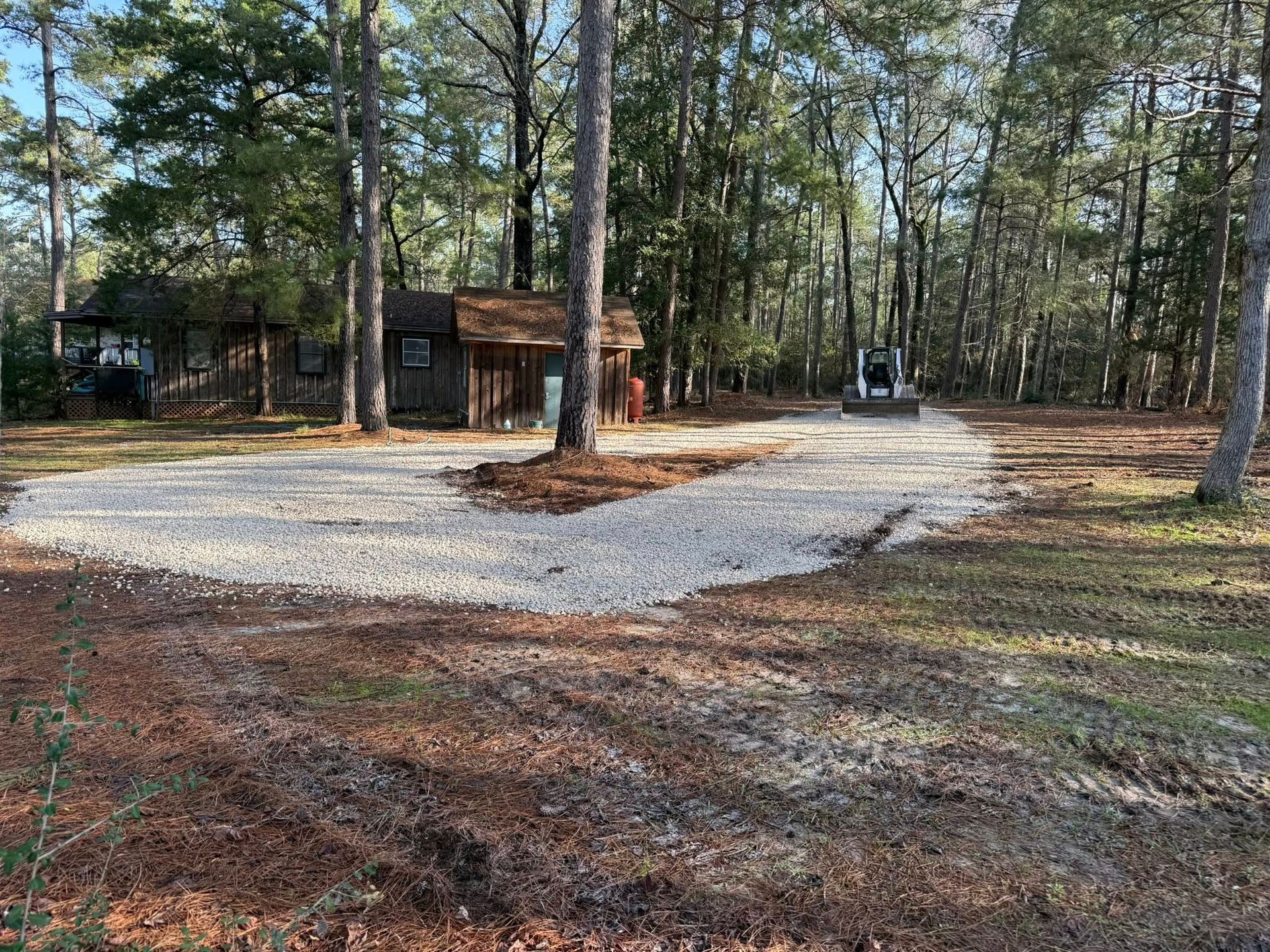 A dirt road leading to a house in the woods.