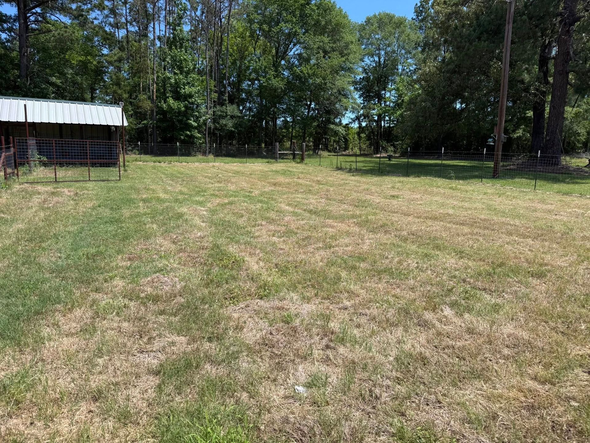 A large grassy field with a fence and trees in the background.