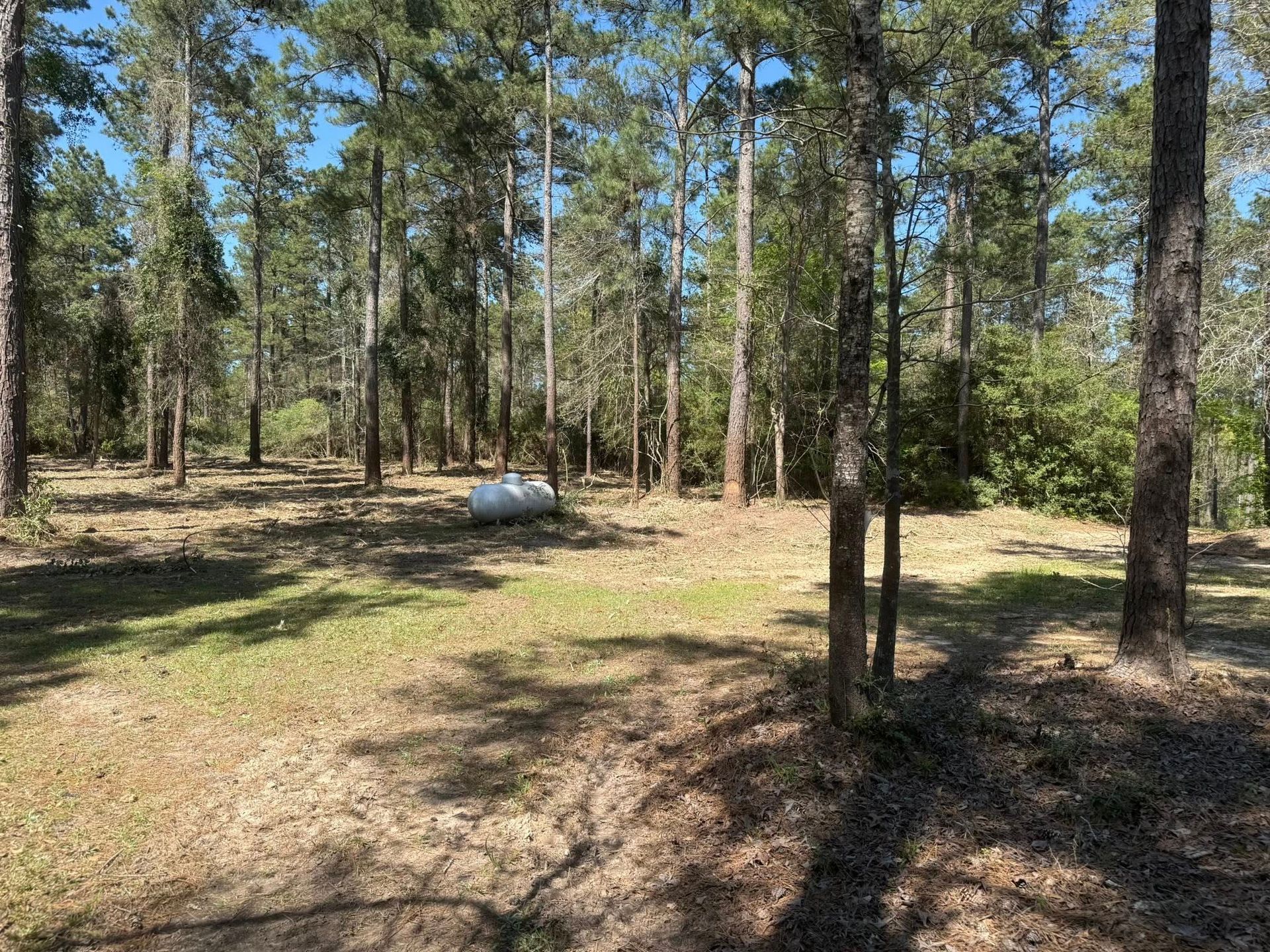A field in the middle of a forest with trees and grass.