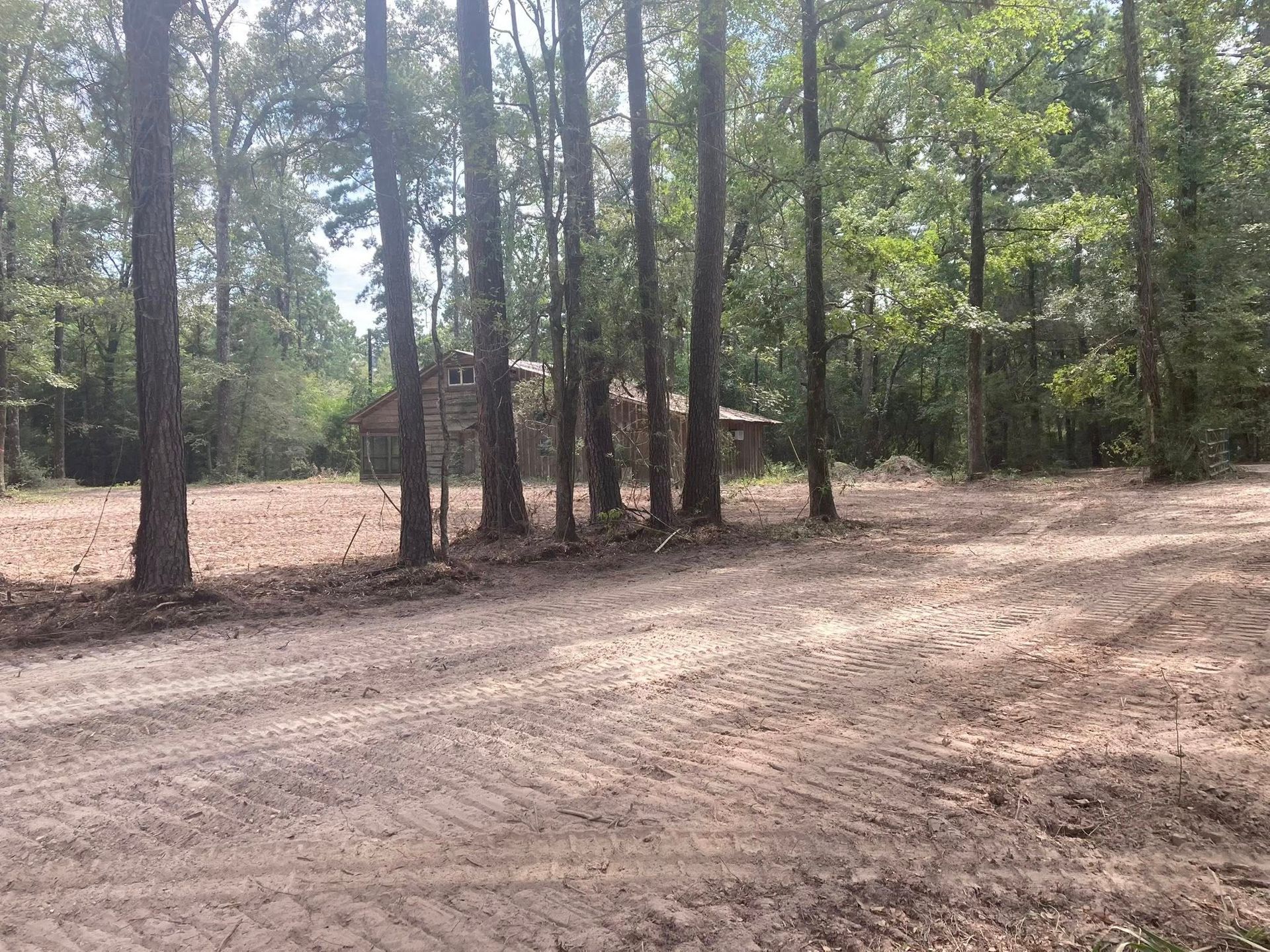 A dirt road in the middle of a forest with trees in the background.