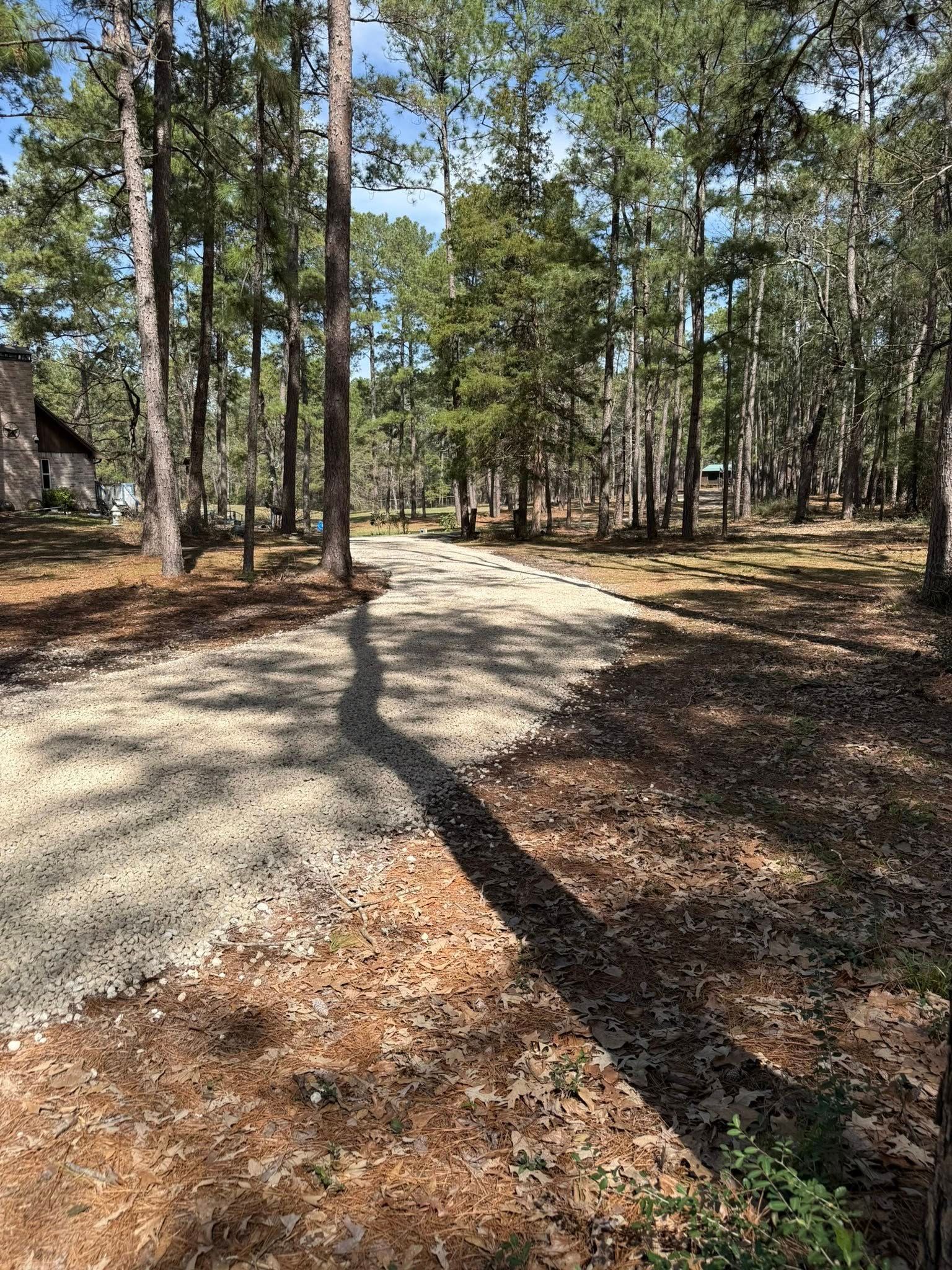 A dirt road going through a forest with trees on both sides.
