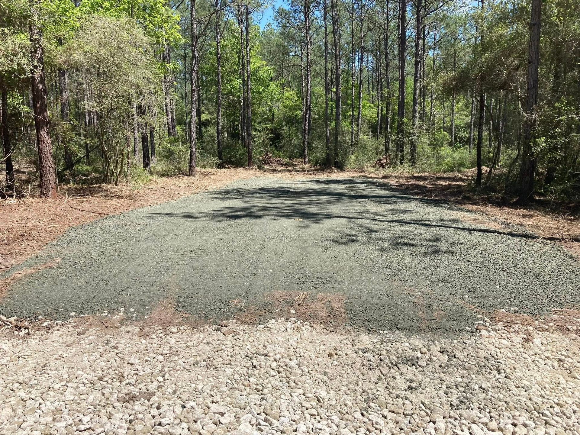 A gravel road in the middle of a forest with trees in the background.