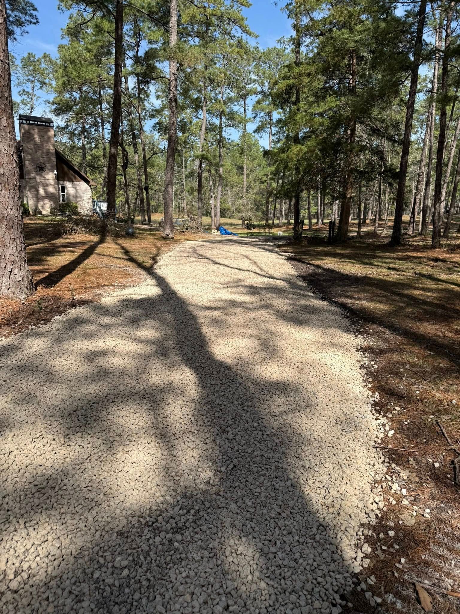 A dirt road in the middle of a forest with trees on both sides.
