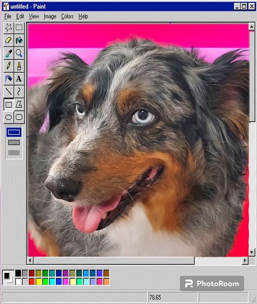 A picture of a dog is being painted on a computer screen