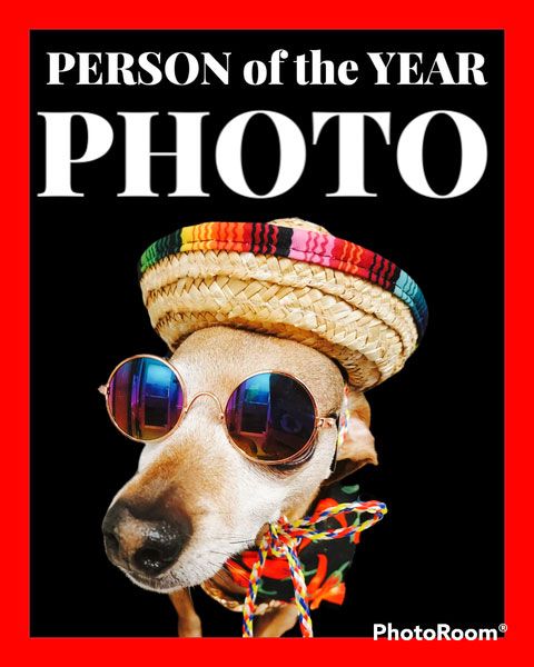A picture of a dog wearing a sombrero and sunglasses