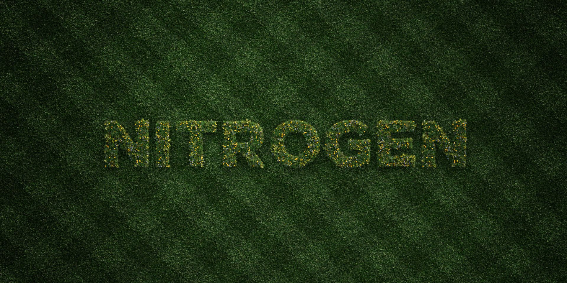 Nitrogen; Management; Crops
