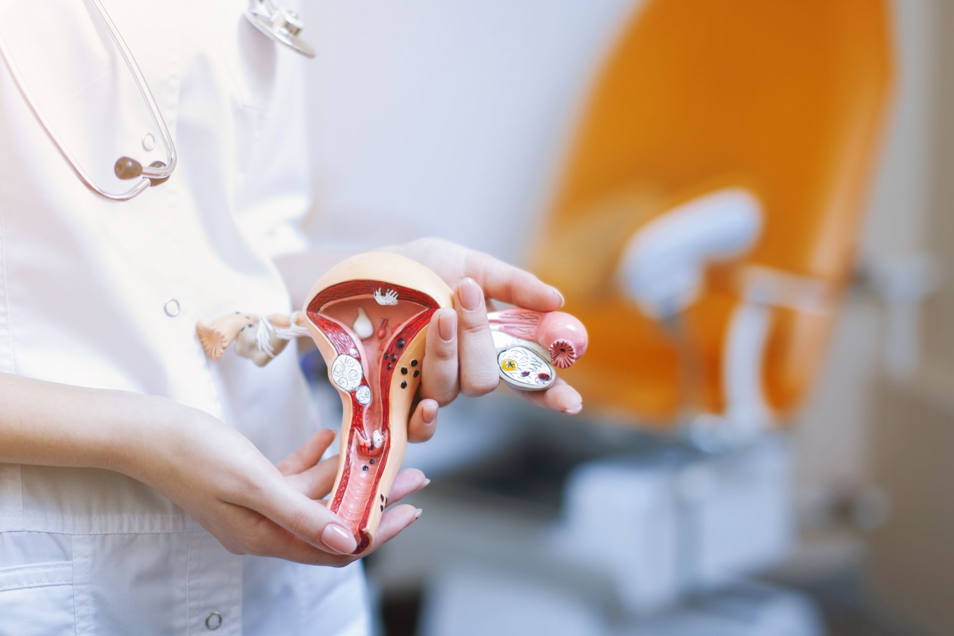 Medical professional holding a detailed model of a uterus in a clinical examination room. Medical professional holding a detailed model of a uterus in a clinical examination room.