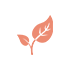 Leaf Icon