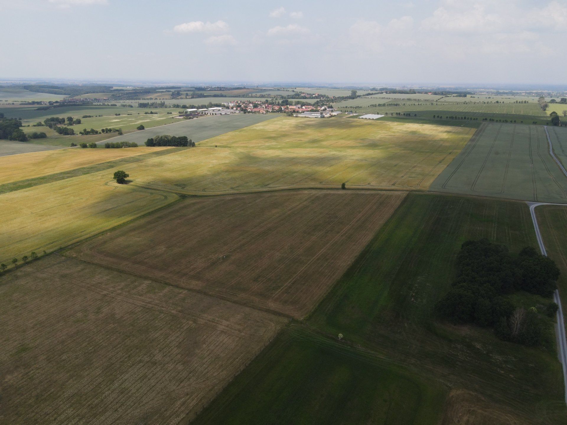 Eine Luftaufnahme einer Landschaft mit Feldern und Bäumen
