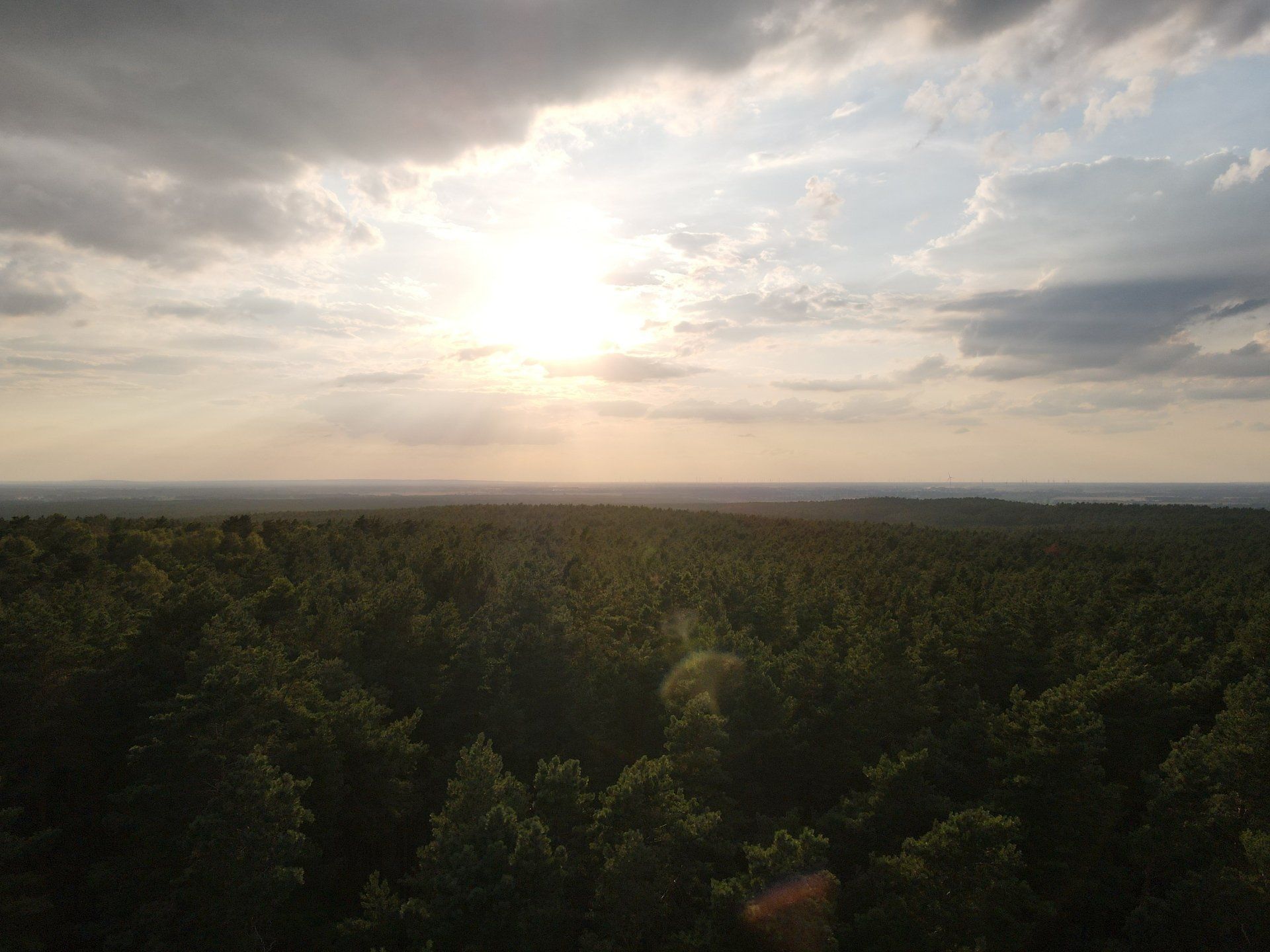 Eine Luftaufnahme eines Waldes bei Sonnenuntergang, wobei die Sonne durch die Wolken scheint.