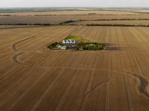 An aerial view of a farm in the middle of a wheat field.