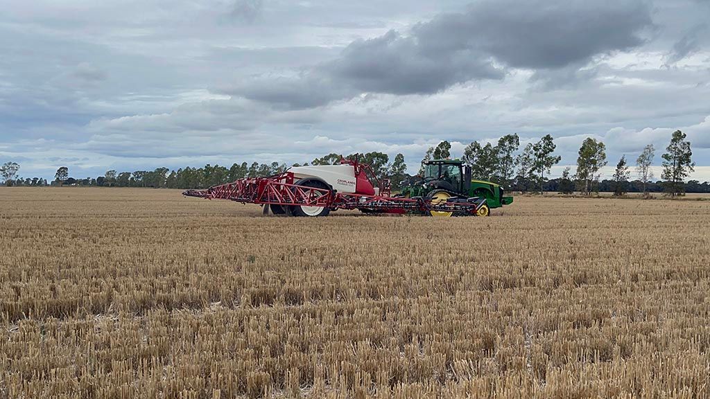 A tractor is plowing a field of wheat on a cloudy day.