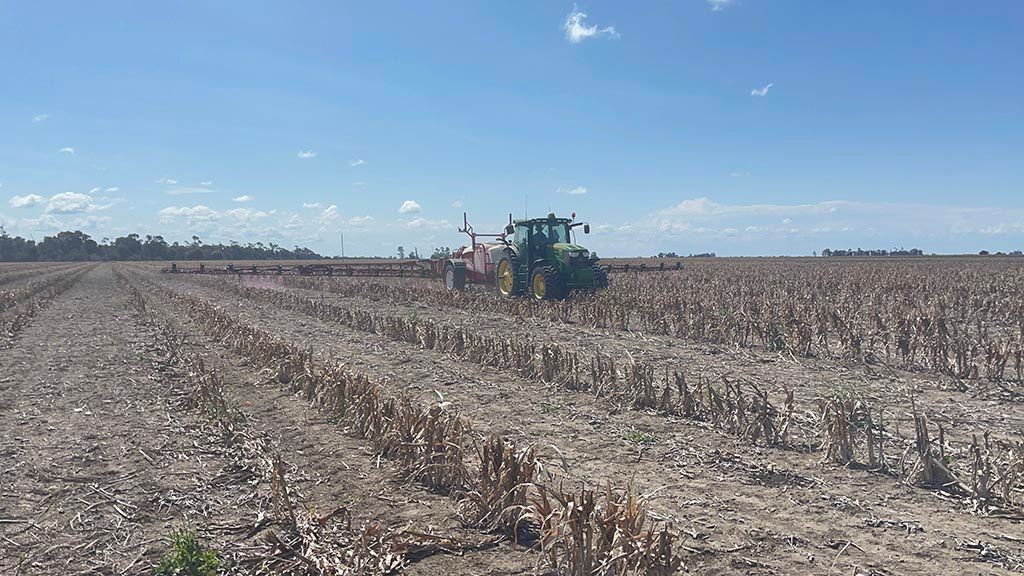 A green tractor is plowing a field on a cloudy day.