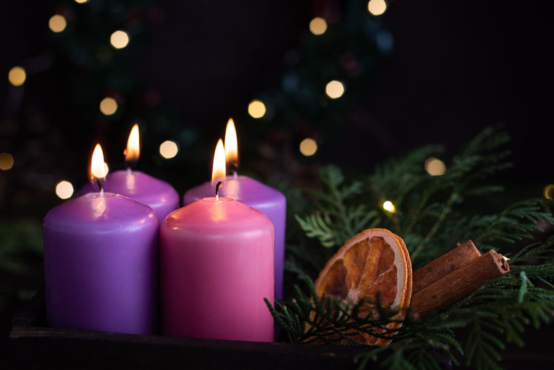 Advent wreath with four lit candles, purple and pink, with greenery and lights.