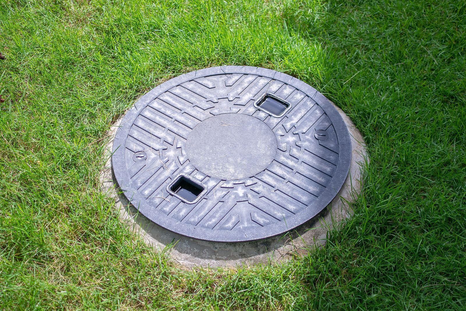 A manhole cover is sitting in the middle of a lush green field.