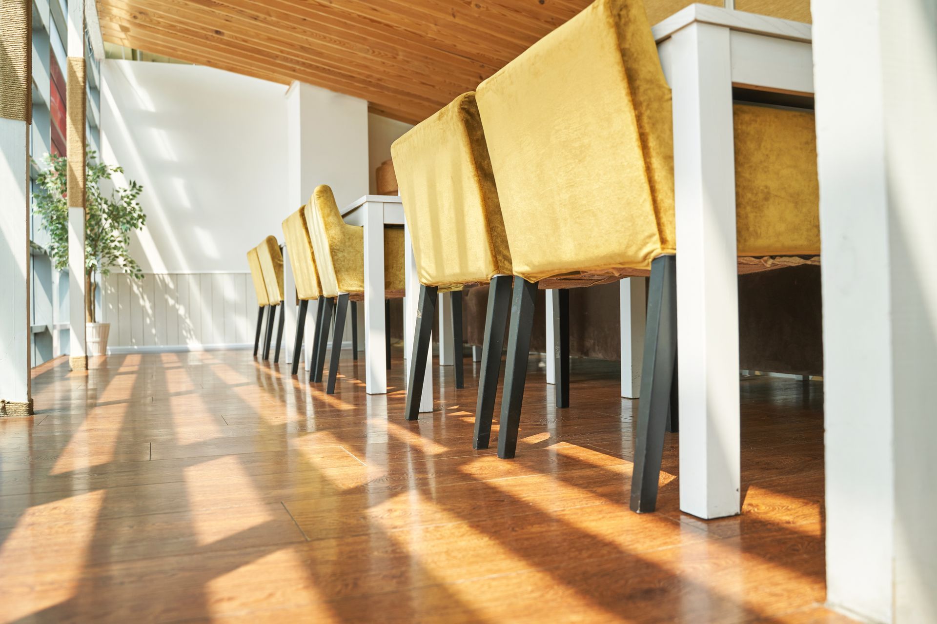 Row of yellow-upholstered chairs at a white table, on a sunlit wooden floor.
