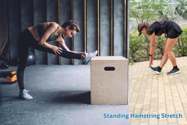 Example of Standing Hamstring Stretch