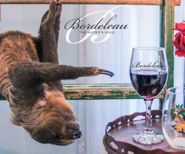 Sippin' with Sloths at Bordeleau Winery
