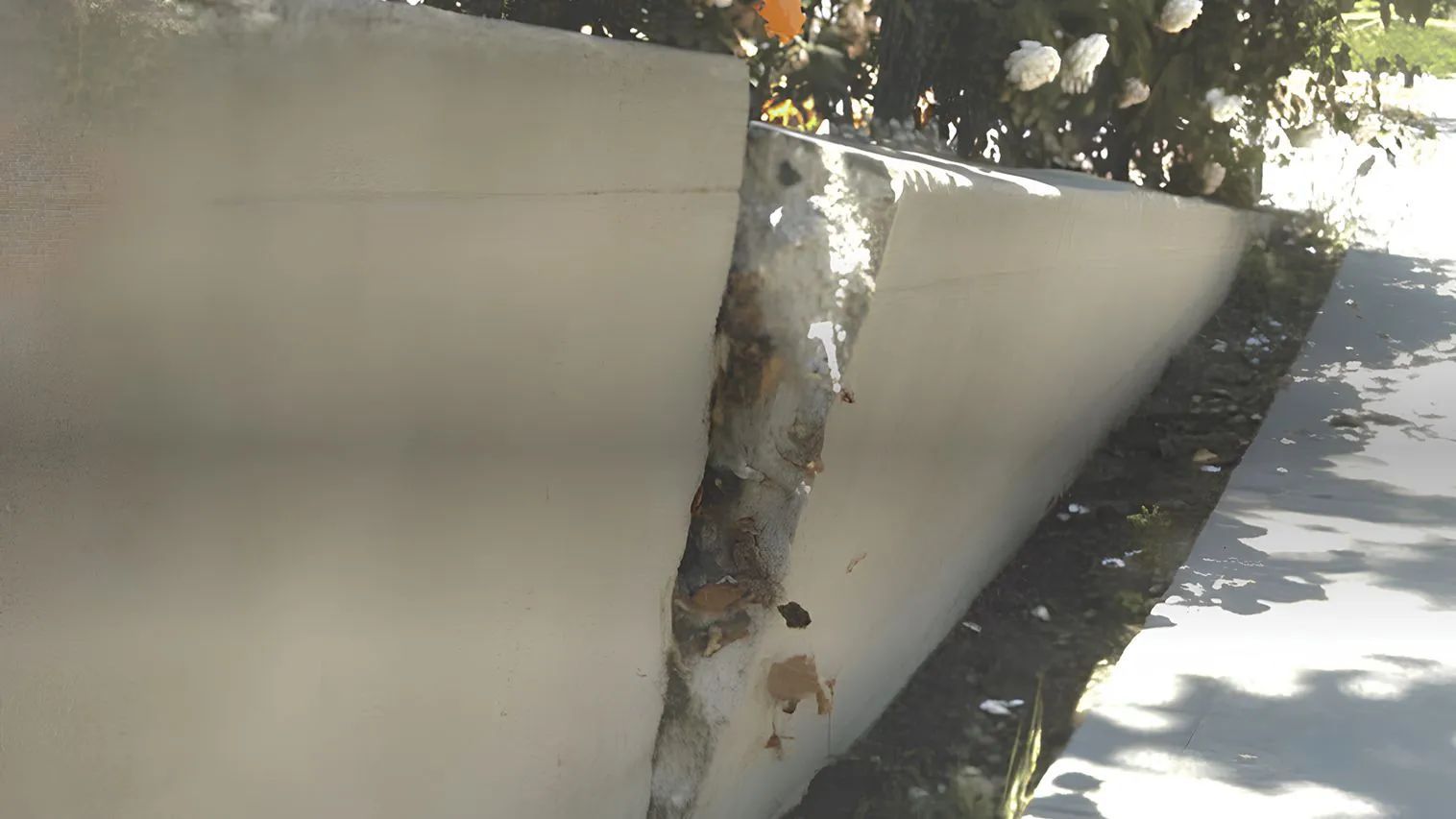 A weathered, concrete retaining wall, partially split, with foliage visible behind.