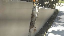 A weathered, concrete retaining wall, partially split, with foliage visible behind.