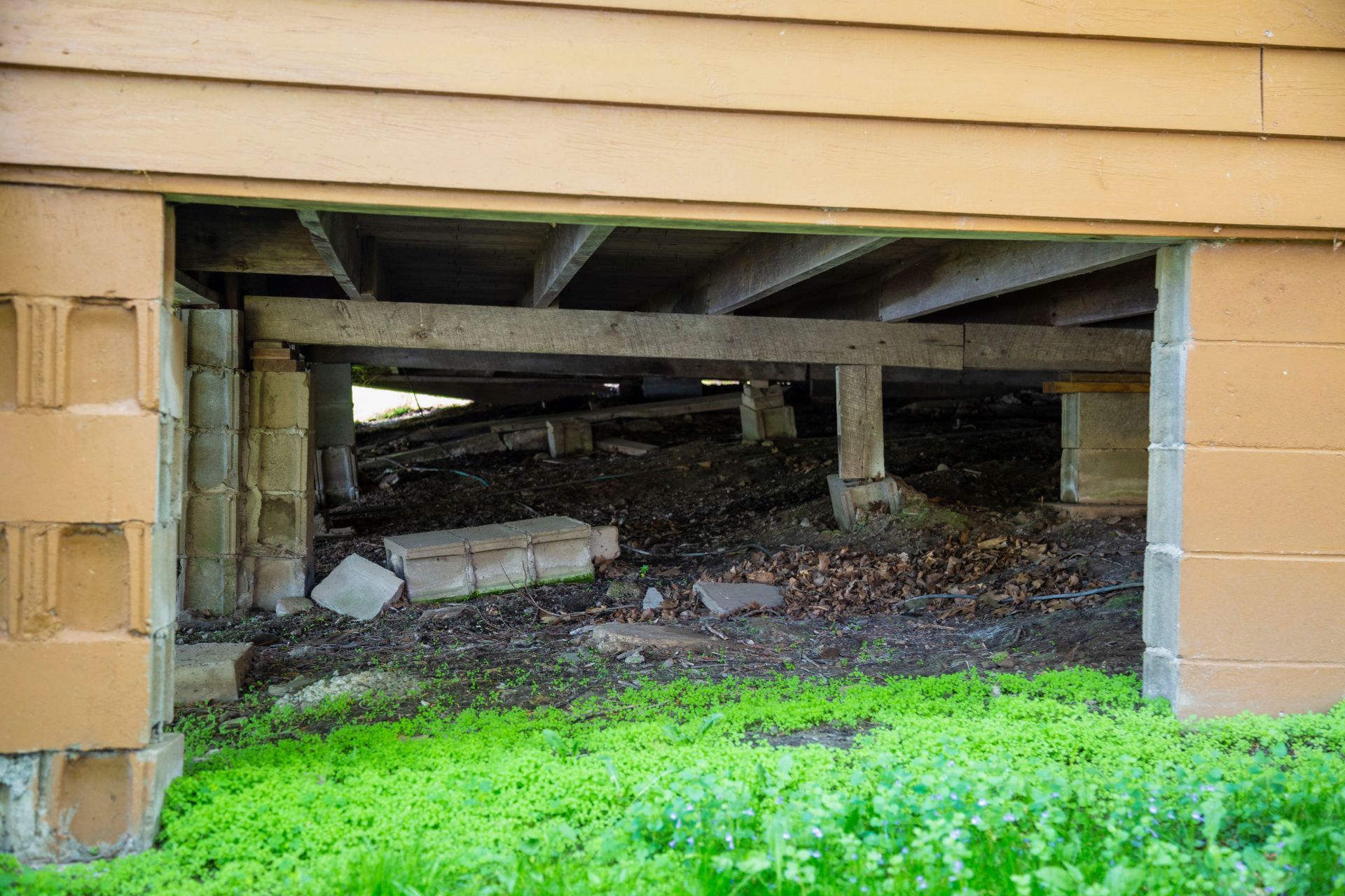 Opening under a house, showing a crawl space with concrete blocks, dirt, and wooden beams.