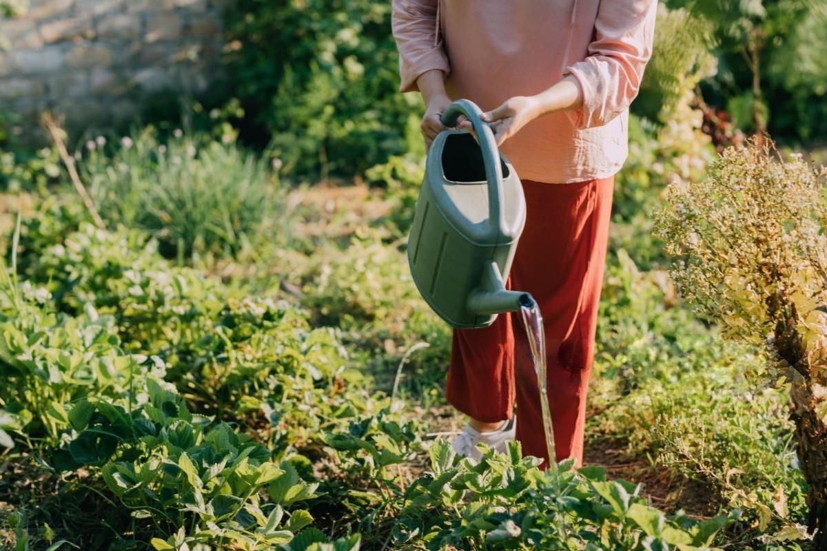 a woman is watering plants with a green watering can