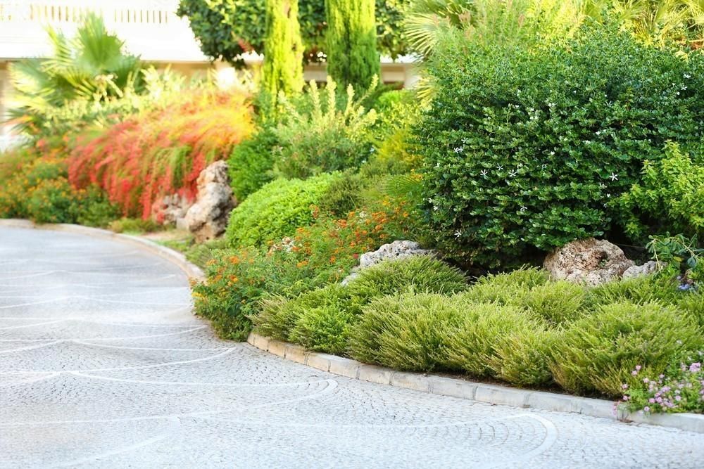 A driveway surrounded by lots of trees and bushes