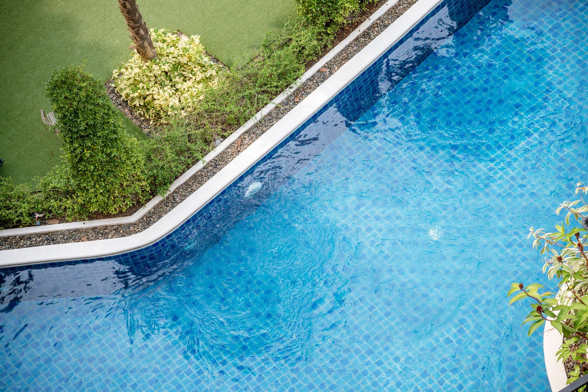 Aerial view of a pool with vibrant blue water, expertly crafted by swimming pool installers.
