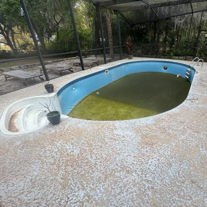 A large swimming pool in the backyard of a house