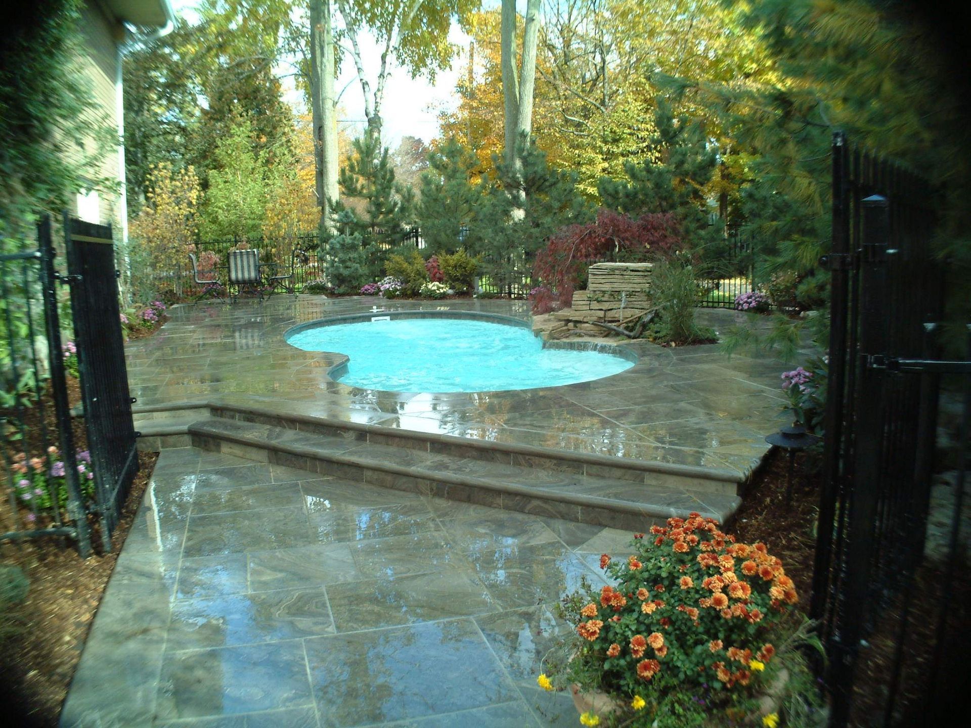 Patio with a small blue pool, wet stone walkway, and lush garden flowers and trees